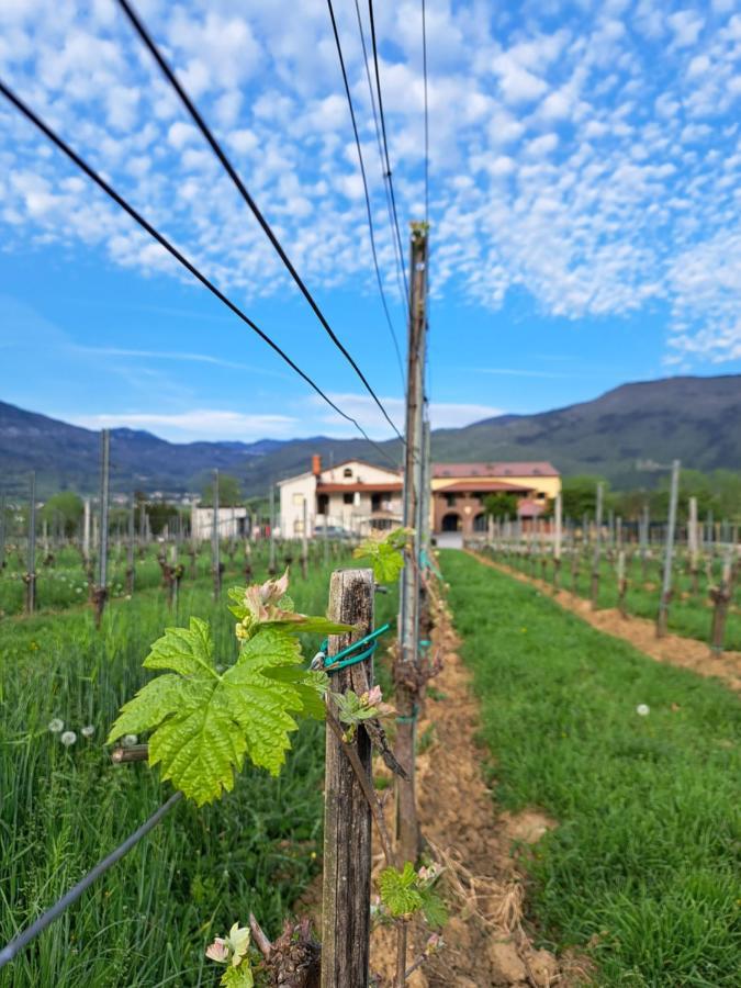 Posestvo Rouna - Winery And Apartments Vipava Zewnętrze zdjęcie