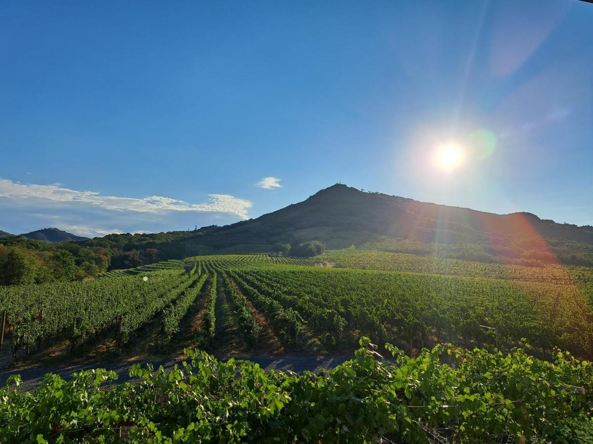 Posestvo Rouna - Winery And Apartments Vipava Zewnętrze zdjęcie