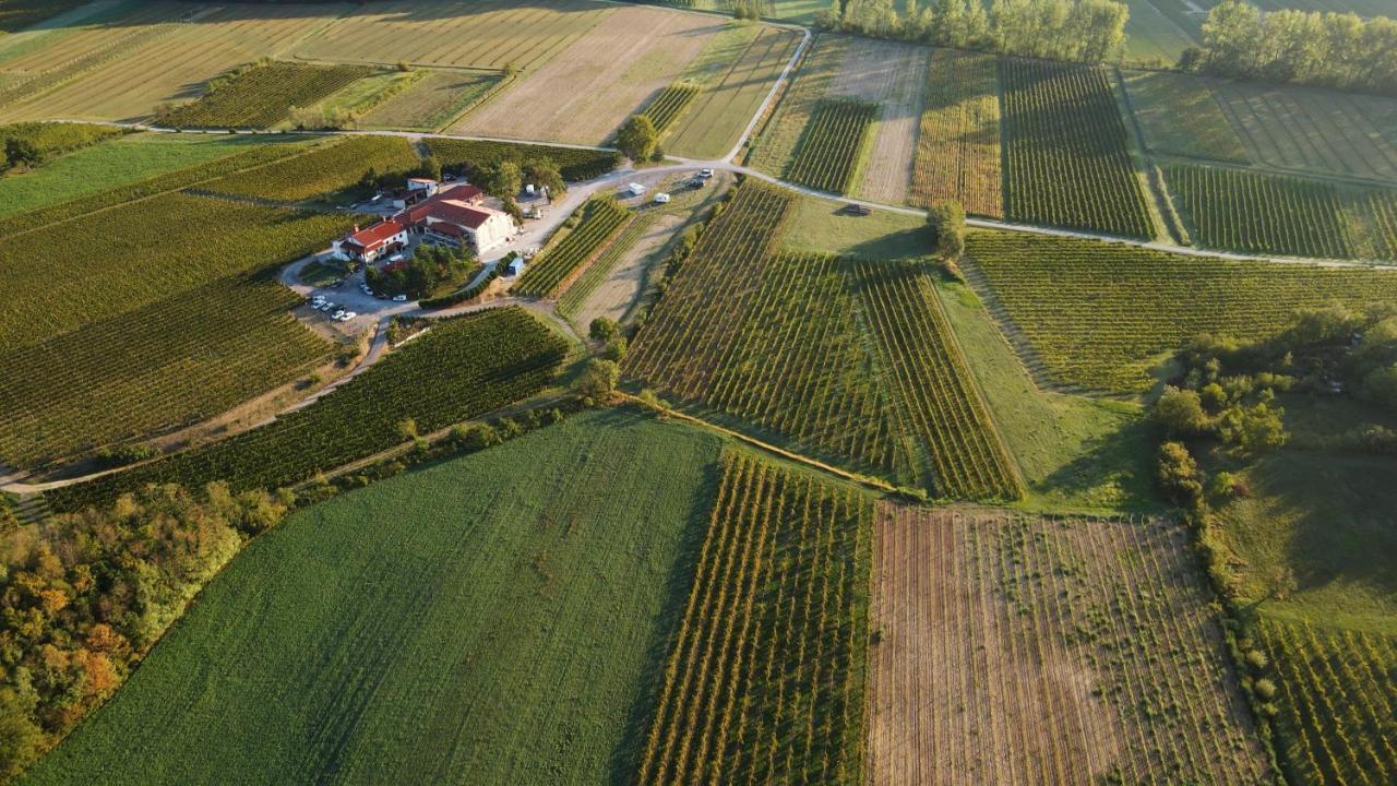 Posestvo Rouna - Winery And Apartments Vipava Zewnętrze zdjęcie